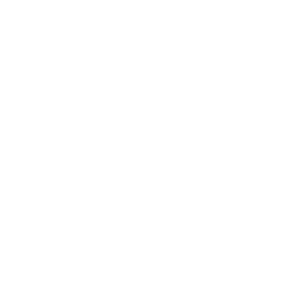 ICE-HOCKEY