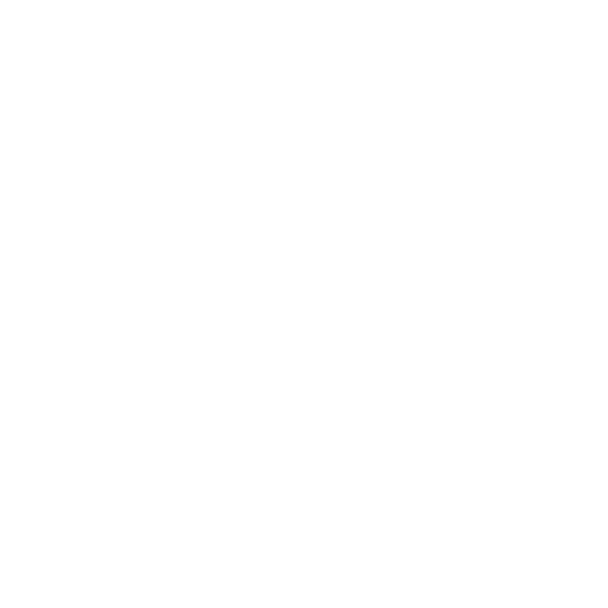 ICE-HOCKEY